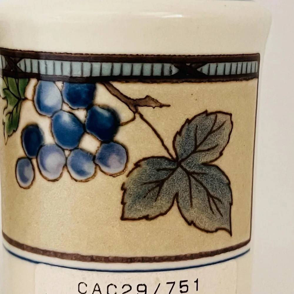 Mikasa Garden Harvest Intaglio Salt & Pepper Shakers NWT CAC29 Fruit Pattern